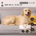 TESLA SecureQ SC10 - Smart-Kamera für den Innenbereich