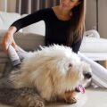 TESLA PetCare Station TQ500 Pro - Set zur Fellpflege für Haustiere