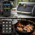 TESLA Cook BBQ150 - Intelligente Temperatursonde