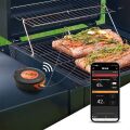 TESLA Cook BBQ150 - Intelligente Temperatursonde