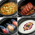TESLA SlowCook S900 Plus - Schongarer