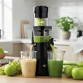 TESLA SlowJuicer SJ500 XL - langsam laufender Schneckenentsafter