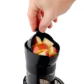 TESLA SlowJuicer SJ500 XL - langsam laufender Schneckenentsafter