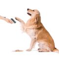 TESLA PetCare Station TQ500 Pro - Set zur Fellpflege für Haustiere