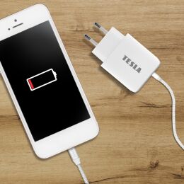TESLA Power Charger T220 - Dual-Schnellladegerät 25 W PD 3.0/PPS (Farbe: Weiß)