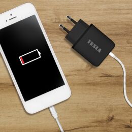 TESLA Power Charger T220 - Dual-Schnellladegerät 25 W PD 3.0/PPS (schwarz)