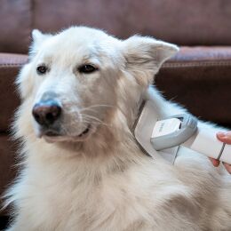 TESLA PetCare Station TQ500 Pro - Set zur Fellpflege für Haustiere